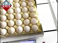 Pequena impressora de jato de tinta de ovo Xy Axis Inteligente Impressora de jato de tinta de ovo totalmente automática